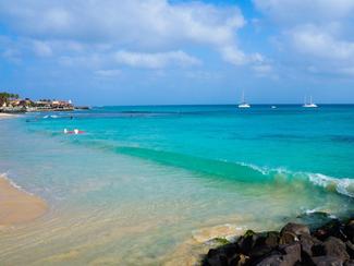 Où partir en novembre pour retrouver le soleil ?