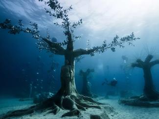 Musées subaquatiques : plongez dans l’art et...