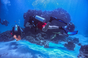 Un plongeur retrouve une bague enfouie dans l’océan après 47 ans