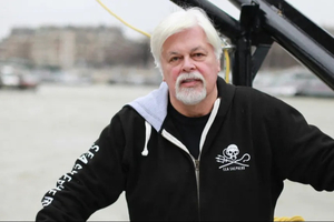 Le militant écologiste Paul Watson reste en détention au Groenland