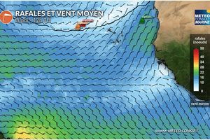 Météo Vendée Globe : la bataille fait rage en arrivant dans l'alizé