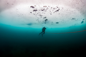 La plongée sous glace : une aventure fascinante sous les eaux gelées