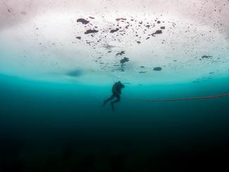 La plongée sous glace : une aventure...