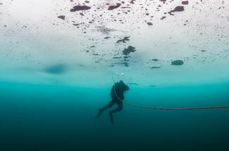 La plongée sous glace : une aventure fascinante sous les eaux gelées
