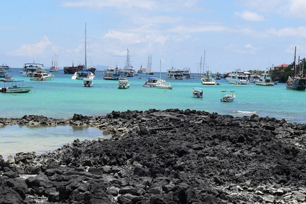 Puerto Ayora a Santa Cruz Puerto Ayora a Santa Cruz