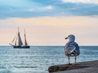 La mer pour se marrer