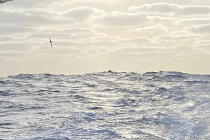 Vendée Globe : Dans la tempête, les skippers jonglent entre survie et stratégie