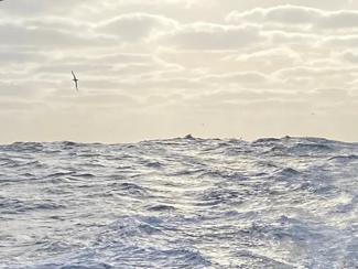 Vendée Globe : Dans la tempête, les skippers...