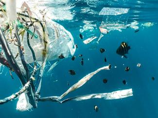 Les microplastiques dans les océans : comment...
