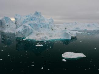 Les mammifères marins et oiseaux de...