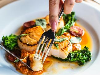 La Coquille Saint-Jacques : un joyau des océans