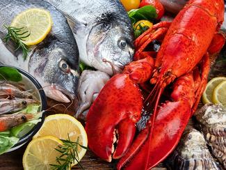 Les allergies aux fruits de mer : ce qu’il...