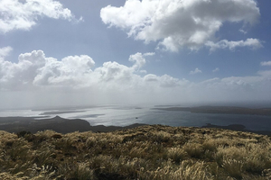 À la découverte des îles au sud de la Nouvelle-Zélande : un voyage vers la nature sauvage