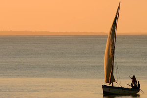 Henry de Monfreid : l’appel de la liberté, 50 ans après