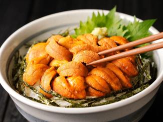 L’oursin : un trésor marin entre gastronomie...