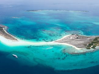 Los Roques : un paradis bleu au cœur des Caraïbes