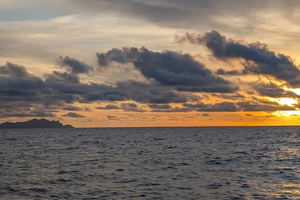 Vendée Globe : entre tactiques imparables et ennemis glacés