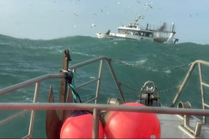 Vers une inscription des pratiques des sauveteurs en mer au patrimoine immatériel de l’humanité ?