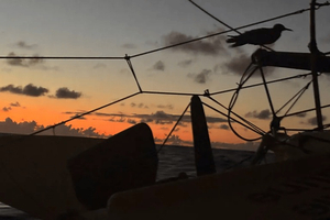 Vendée Globe : une course à la merci des caprices du vent