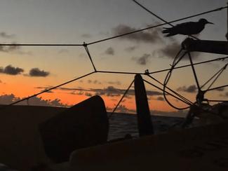 Vendée Globe : une course à la merci des...
