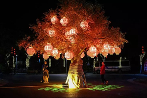 La magie nocturne d’un festival de lanternes en Chine