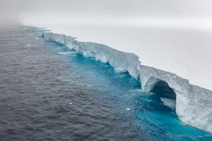 Le plus grand iceberg du monde en route vers la Géorgie du Sud, une menace pour l'écosystème