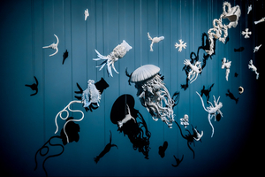 Derniers jours pour découvrir l'exposition Tara Océan, jusqu'au 2 mars