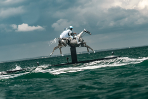 Le Cheval d'Argent des JO 2024 : une épopée nautique au cœur de Paris