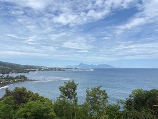 Le Jardinier de Corail – Chapitre 1 : La...