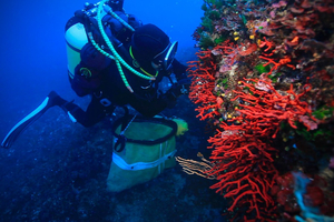Saint-Valentin : offrez le cœur des profondeurs