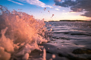 L’Année de la Mer 2025 : Plus de 130 événements pour célébrer l’univers maritime !