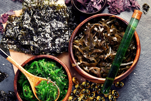 Les algues du Pacifique : un or vert aux mille visages 5/7