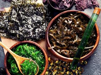 Les algues du Pacifique : un or vert aux mille...