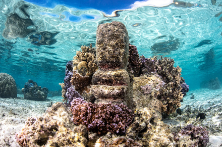 Un tiki immerge dans le jardin sous-marin du Sofitel