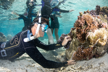 Notre professeur de biologie en action 