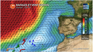 Vendée Globe : Cousin s’échappe, Amedeo et Van Weynbergh toujours freinés