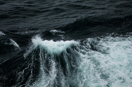 Nautisme Article