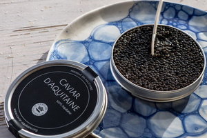 Après des années d’attente, le caviar d’Aquitaine obtient une indication géographique protégée