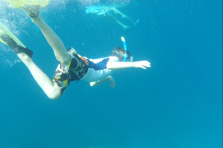 Sauter du bateau, decouvrir les fonds marins en palmes masque et tuba, barrer le bateau : les activites ne manquent pas pour les enfants en vacances en bateau. Sauter du bateau, decouvrir les fonds marins en palmes masque et tuba, barrer le bateau : les activites ne manquent pas pour les enfants en vacances en bateau.