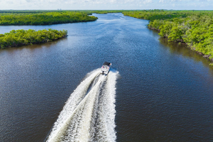 Everglades : l’odyssée sauvage de la Floride