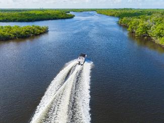Everglades : l’odyssée sauvage de la Floride
