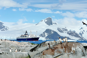 Croisières scientifiques : quand l’exploration devient apprentissage