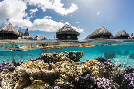 Le resultat du travail de Mathieu au Sofitel. Le resultat du travail de Mathieu au Sofitel.