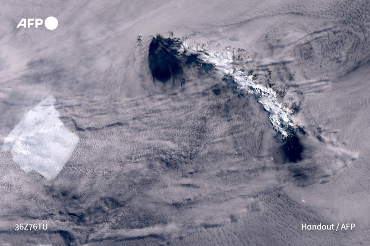 Le plus grand iceberg du monde immobilisé, une île riche en faune ...