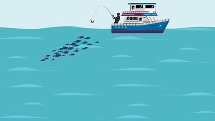 La peche a la canne ou a la ligne La peche a la canne ou a la ligne