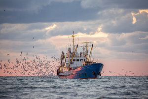 Comprendre les techniques de pêche pour mieux consommer