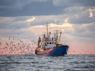 Comprendre les techniques de pêche pour mieux...