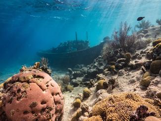 Le sabordage : de l’auto-destruction à la...