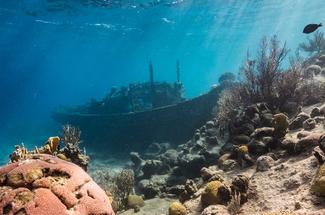 Le sabordage : de l’auto-destruction à la préservation des récifs artifi...