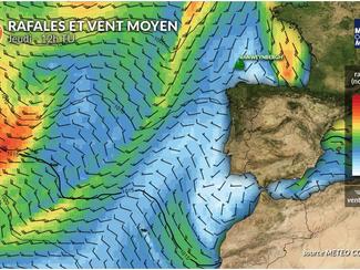Vendée Globe : arrivée de Denys Van Weynbergh...